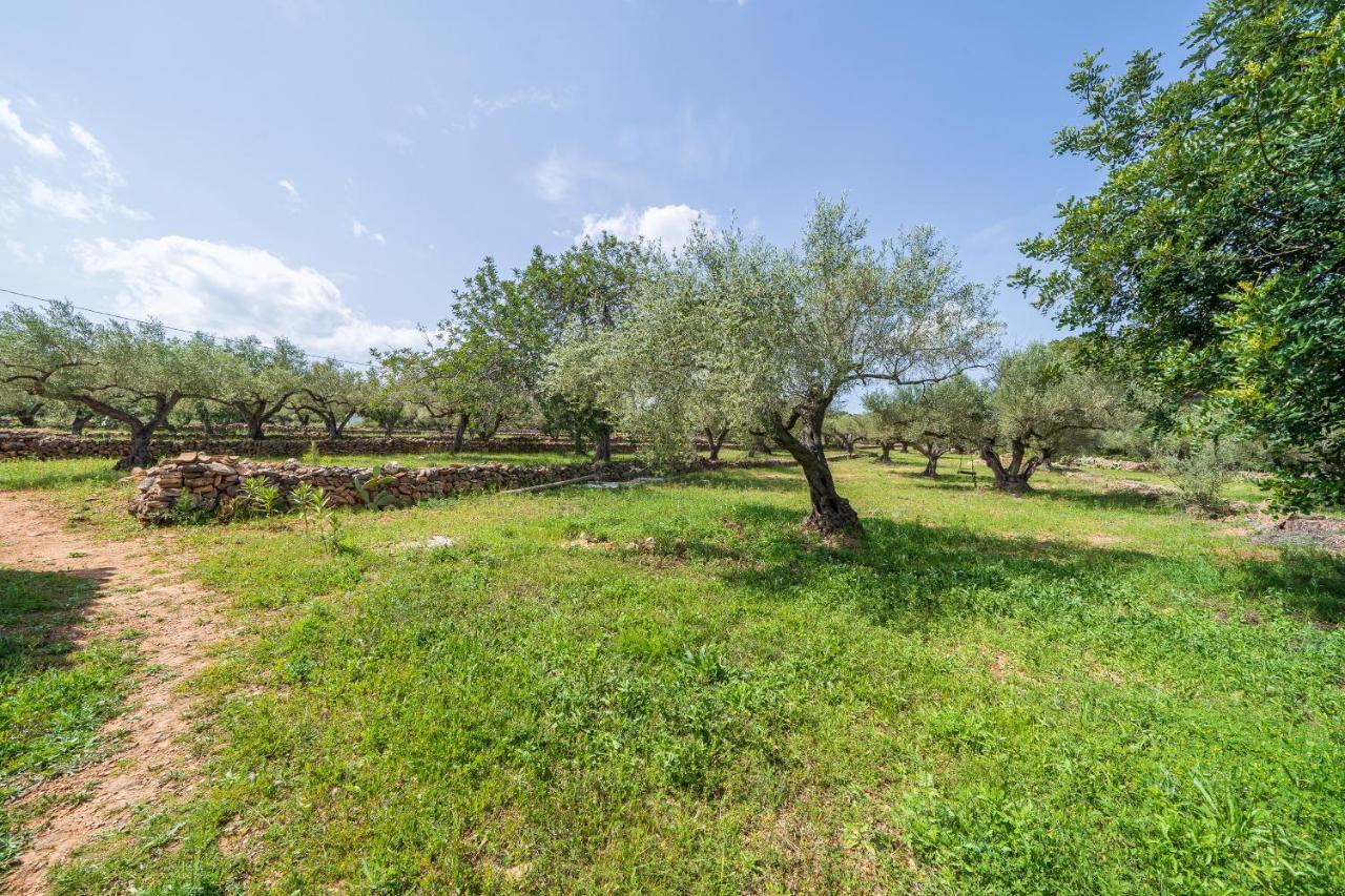 Casa En Olivera A 3 Km De La Costa El Perelló Екстериор снимка