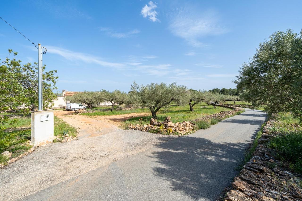 Casa En Olivera A 3 Km De La Costa El Perelló Екстериор снимка