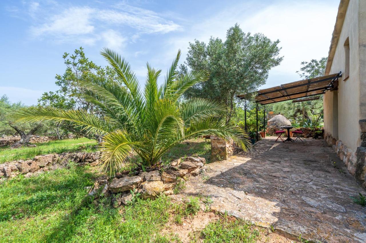 Casa En Olivera A 3 Km De La Costa El Perelló Екстериор снимка