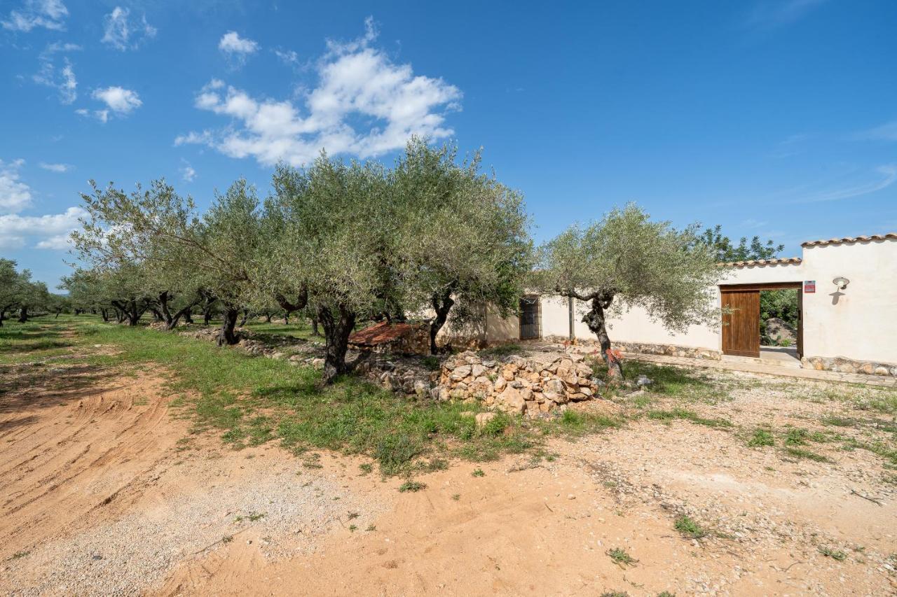 Casa En Olivera A 3 Km De La Costa El Perelló Екстериор снимка
